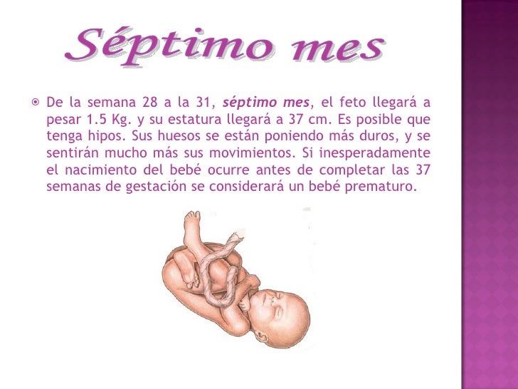 En los intestinos del arenque los parásitos blancos con el punto negro