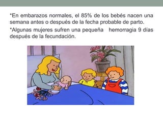 *En embarazos normales, el 85% de los bebés nacen una
semana antes o después de la fecha probable de parto.
*Algunas mujeres sufren una pequeña hemorragia 9 días
después de la fecundación.
 