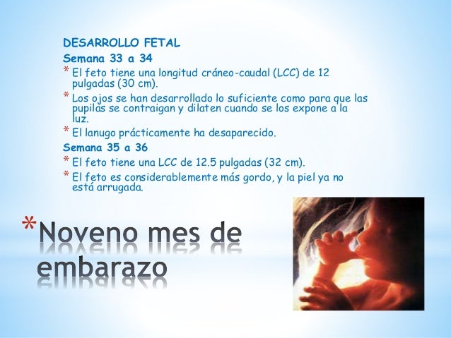 Las ocupaciones para el adelgazamiento para los vídeos embarazados