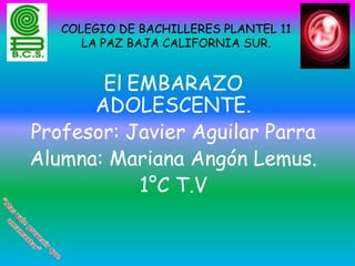 COLEGIO DE BACHILLERES PLANTEL 11
LA PAZ BAJA CALIFORNIA SUR.

El EMBARAZO
ADOLESCENTE.
Profesor: Javier Aguilar Parra
Alumna: Mariana Angón Lemus.
1°C T.V

 