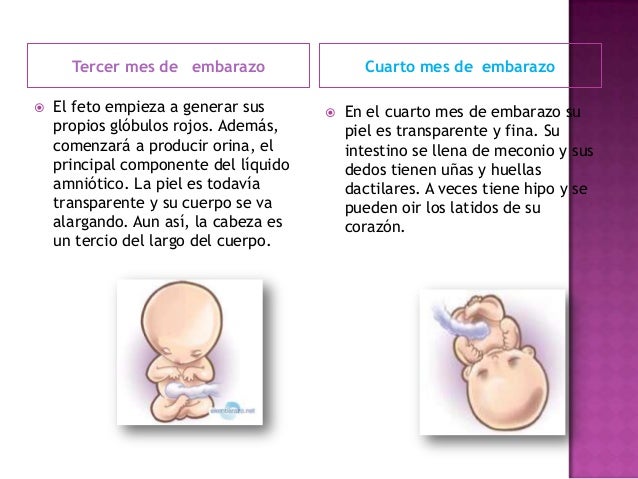 El embarazo o El embarazo o