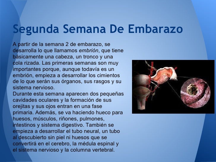 El dolor en la articulación tibiotarsiana y la espalda