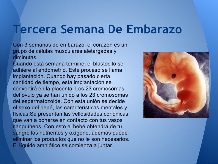 Duele la espalda y es hinchado el vientre