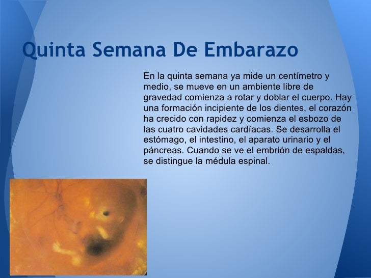 El dolor en la espalda después de en las rodillas