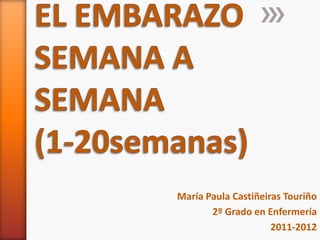 María Paula Castiñeiras Touriño
       2º Grado en Enfermería
                     2011-2012
 