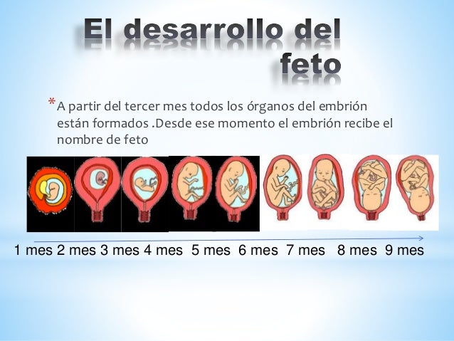 El cargador para el adelgazamiento a los hombres del vídeo