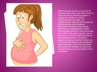 Posteriormente se inicia un proceso de
diferenciación celular que determinará la
formación de los diferentes órganos y
tejidos de acuerdo a un patrón
establecido para dar lugar a un
organismo final. Durante este proceso de
diferenciación celular podemos
diferenciar tres etapas: basculación ,
gastrulación y organogénesis. Existen
enfermedades genéticas raras provocadas
por el ADN mitocondrial paterno, que se
dan tras la incorrecta eliminación de las
mitocondrias paternas. Final de la
segunda meiosis ovo citaría (2 horas tras
la fecundación) Gracias a la entrada del
espermatozoide, el ovo cito fecundado
(aún parado en metafase II) reactiva la
segunda meiosis y el huso mitótico entra
en anafase.
 