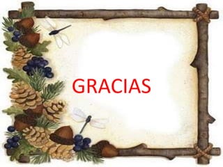 GRACIAS