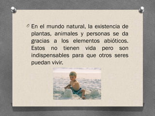 O En el mundo natural, la existencia de
plantas, animales y personas se da
gracias a los elementos abióticos.
Estos no tienen vida pero son
indispensables para que otros seres
puedan vivir.