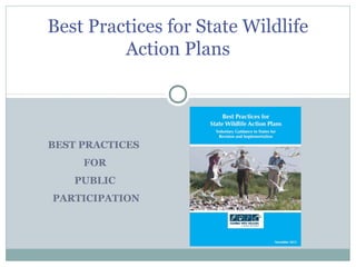 BEST PRACTICES
FOR
PUBLIC
PARTICIPATION
Best Practices for State Wildlife
Action Plans
 