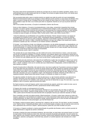 Ele possui várias formas apresentando-se através de uma figura de um menino de cabelos vermelhos, peludo, com a
particularidade de ter os pés virados para trás (no rio Negro); ser privado de órgãos sexuais (Pará); com dentes azuis
ou verdes e orelhudo (rio Solimões).

Sob sua guarda direta está a caça e é sempre propício ao caçador que mate de acordo com suas necessidades.
Mostra-se extremamente hostil ao que persegue e mata as fêmeas quando prenhas ou cause danos aos filhotes. Para
estes o curupira é inimigo terrível. Consegue iludi-los sob a feição de caça e deixa-os no mato à fome e desamparo.
Esta entidade é capaz de imitar a voz humana para atrair os caçadores, fazendo-os com que se percam dentro da
floresta.
Além de ser protetor dos animais, o Curupira é considerado o Senhor das Árvores.

Entre os mitos indígenas, o Curupira é incontestavelmente o mais antigo, companheiro inseparável das crenças
populares, de onde se admite a possibilidade de ser verdadeiramente indígena, senão antes legado pela população
primitiva que habitou o Brasil no período pré-colombiano e que descendia dos invasores asiáticos. Por esta hipótese,
teria passado dos Nauas aos Caraibas e destes aos Tupis e Guaranis. De sua existência há notícia nos primeiros
cronistas da nossa formação, em Anchieta (1560), Fernão Cardim (1584), Laet (1640) e Acuña (1641).

 Todos lhe celebraram as manifestações como guardião das florestas. Fatores naturais do tempo e do espaço se
encarregaram de modificá-lo pouco a pouco. Assim, atravessando épocas e geografias, o Curupira foi sofrendo
inevitáveis influências do meio por onde se estendeu, adquirindo novas feições e ganhando novos atributos. Para
crença em geral, ele o Senhor, a Mãe, o Guardião das florestas e da caça, que castiga a todo aquele que a destrói,
premiando a aqueles que não o contrariam ou se mostram solícitos e obedientes.

O Curupira, ora é imperioso e brutal, ora é delicado e compassivo, ora não admite desrespeito ou desobediência, ora
se deixa iludir como uma criança. Em cada região adquiri um tipo característico, quando varia o lugar. Segundo uma
crença generalizada, é o responsável pelos estrondos da floresta. Armado com um casco de jaboti, bate nas árvores
para ver se conservam-se fortes para resistir as tempestades.
No Alto Amazonas, porém, bate é o calcanhar.

Tão variadas são as suas metamorfoses, que não é difícil vê-lo tomar a forma feminina e mesmo, a dos dois sexos,
que lhe dá uma aparência andrógina. O Curupira, entretanto, sob qualquer aspecto que se apresente, sempre tem os
pés voltados para trás, que são indícios para filiá-lo ao berço semítico, o qual nos refere a uma crença corrente na Ásia
em "Homens com pés voltados para trás", bem como os que tinham "orelhas grandes" eram comuns.

Transplantada para solo americano, esta crença foi se modificando ao sabor das circunstâncias. Assim é que vemos
surgir o Curupira sob diferentes nomes: o "Maguare", na Venezuela; o "Selvaje", na Colômbia; o "Chudiachaque", no
Peru; o "Kaná", na Bolívia. Como se vê, inúmeras são suas metamorfoses e designações, conforme testemunhos e
fatos colhidos na história.

Quando Curupira entra no Maranhão, não muda de nome, mas mora no galho dos Tucunzeiros e procura as margens
do rio para pedir fumo aos canoeiros e vira-lhes as canoas quando não lhe dão, fazendo as mesmas correrias pelos
matos onde tem as mesmas formas com que se apresenta na Amazônia. Atravessando pelo Rio Grande do Norte e
pela Paraíba, toma então o nome de Caapora. Conta-se que tornou-se inimigos dos cães de caça. Obriga-os a correr
atrás dele, para fazer com que os caçadores o sigam, mas desaparece de repente, deixando os cães tontos e os
caçadores perdidos. Nestes locais anda sempre à cavalo, ou montando um veado ou um coelho.

Em algumas ocasiões, foi descrito como um índio de pele escura, nu, ágil, fumando cachimbo e que adora fumo e
cachaça, dominando com seus assobios os animais da mata. Indo o caçador munido de fumo e encontrando o
Caapora, se este pedir-lhe e for satisfeito, pode contar que será daí em diante feliz na caça. Por outro lado, o que mais
detesta é o alho e a pimenta, capaz de provocar-lhe cólera.

No Ceará conserva o nome de Caapora, porém muda novamente seu aspecto, perde todo o pelos do corpo, que se
transforma numa enorme cabeleira vermelha, apresentando também dentes afiados.

O Caapora não é senão um prolongamento do Curupira.
Em Pernambuco lá está ele com suas características. Montado em uma queixada, tem nas mãos um galho de
iapekanga ou arco e flecha, trazendo consigo sempre um cão a que dão o nome de "Papa-mel". Em uma carta de
1560, o padre José de Anchieta inclui esse duende entre as aparições noturnas que costumam assustar os índios.

Para o sacerdote, que entre nós esteve quando o Brasil amanhecia, o Curupira, muitas vezes, atacava os índios nos
bosques, açoitando-os, atormentando-os e matando-os. Os índios costumavam deixar penas de aves, flechas e outras
coisas semelhantes, em algum ponto da estrada do sertão, quando passavam por lá, como se fosse uma oferenda e,
humildemente imploravam a esse personagem, que não lhes fizesse mal.

Em Sergipe, mostra-se sempre gaiato e, brincando faz o viajante rir até cair morto. Por isso talvez, que ele é venerado
como "espírito cômico". Passando pela Bahia, sofre aí uma transformações completa e não só muda de nome como de
sexo, aparecendo sob a forma de "caiçara", cabocla pequena, quase anã, que anda montada num porco.

O Curupira e o Caapora constituem a mesma personificação do guardião das florestas, sendo o primeiro peculiar da
região setentrional e o segundo da central e meridional.

As lendas e histórias dos seres encantados brasileiros, são entre todas, as mais lindas, pois sempre tiveram um cunho
de ingenuidade. Na fala simples do nosso índio, elas foram passando de geração para geração, mas sem perder seu
sabor regional e seu conteúdo. Sofreram algumas variantes, quando foram passando de boca em boca, contadas pelos
seringueiros, caboclos e portugueses, mais ainda hoje, possuem um sentido especial e são narradas com a maior
seriedade.
 