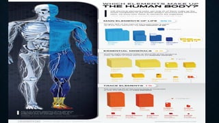 ELEMENTAL CONSTITUENTS OF HUMAN BODY.pptx
