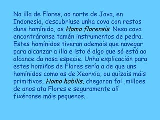 Na illa de Flores, ao norte de Java, en
Indonesia, descubriuse unha cova con restos
duns homínido, os Homo florensis. Nesa cova
encontráronse tamén instrumentos de pedra.
Estes homínidos tiveran ademais que navegar
para alcanzar a illa e isto é algo que só está ao
alcance da nosa especie. Unha explicación para
estes homiños de Flores sería a de que uns
homínidos como os de Xeorxia, ou quizais máis
primitivos, Homo habilis, chegaron fai ,milloes
de anos ata Flores e seguramente alí
fixéronse máis pequenos.
 