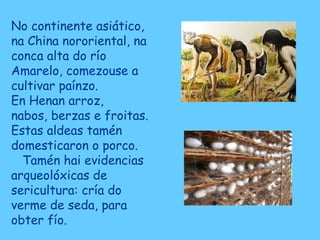 No continente asiático,
na China nororiental, na
conca alta do río
Amarelo, comezouse a
cultivar paínzo.
En Henan arroz,
nabos, berzas e froitas.
Estas aldeas tamén
domesticaron o porco.
Tamén hai evidencias
arqueolóxicas de
sericultura: cría do
verme de seda, para
obter fío.
 