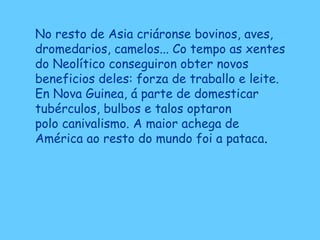 No resto de Asia criáronse bovinos, aves,
dromedarios, camelos... Co tempo as xentes
do Neolítico conseguiron obter novos
beneficios deles: forza de traballo e leite.
En Nova Guinea, á parte de domesticar
tubérculos, bulbos e talos optaron
polo canivalismo. A maior achega de
América ao resto do mundo foi a pataca.
 