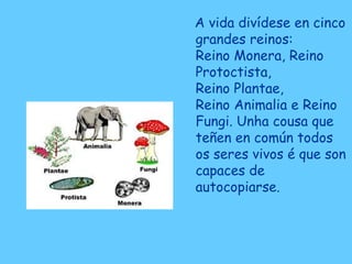 A vida divídese en cinco
grandes reinos:
Reino Monera, Reino
Protoctista,
Reino Plantae,
Reino Animalia e Reino
Fungi. Unha cousa que
teñen en común todos
os seres vivos é que son
capaces de
autocopiarse.
 