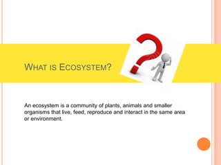 WHAT IS ECOSYSTEM?
An ecosystem is a community of plants, animals and smaller
organisms that live, feed, reproduce and interact in the same area
or environment.
 