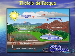 33
Il ciclo dell’acquaIl ciclo dell’acqua
 