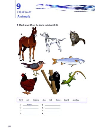 Elementary language-practice-3rd-edition-by-michael-vince-2010