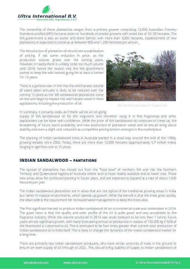 Elementary Essential Oil Sandalwood Plantations