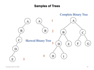 Tuesday, April 8, 2014 31
Samples of Trees
A
B
A
B
A
B C
GE
I
D
H
F
Complete Binary Tree
Skewed Binary Tree
E
C
D
1
2
3
4
5
 