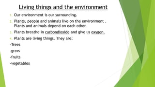 Living things and the environment
1. Our environment is our surrounding.
2. Plants, people and animals live on the environment .
Plants and animals depend on each other.
3. Plants breathe in carbondioxide and give us oxygen.
4. Plants are living things. They are:
-Trees
-grass
-fruits
-vegetables
 