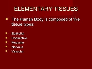 ELEMENTARY TISSUES
   The Human Body is composed of five
    tissue types:

   Epithelial
   Connective
   Muscular
   Nervous
   Vascular
 