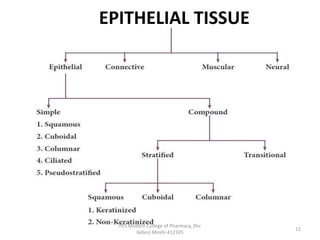 EPITHELIAL TISSUE
PES Modern College of Pharmacy, (for
ladies) Moshi-412105
12
 