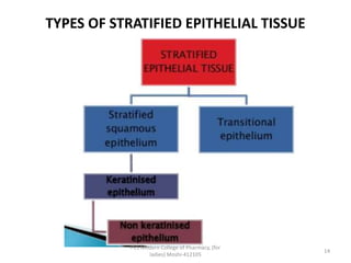 TYPES OF STRATIFIED EPITHELIAL TISSUE
PES Modern College of Pharmacy, (for
ladies) Moshi-412105
14
 