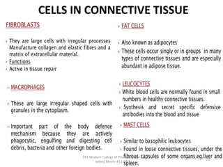 CELLS IN CONNECTIVE TISSUE
PES Modern College of Pharmacy, (for
ladies) Moshi-412105
20
 