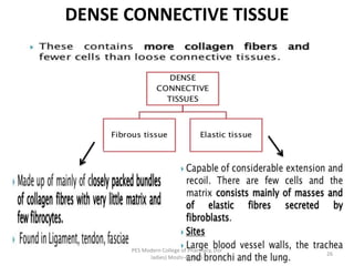 DENSE CONNECTIVE TISSUE
PES Modern College of Pharmacy, (for
ladies) Moshi-412105
26
 
