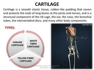 CARTILAGE
Cartilage is a smooth elastic tissue, rubber-like padding that covers
and protects the ends of long bones at the joints and nerves, and is a
structural component of the rib cage, the ear, the nose, the bronchial
tubes, the intervertebral discs, and many other body components.
TYPES:
WHITE
FIBRO
CARTILAGE
YELLOW FIBRO
CARTILAGE
HYALINE
CARTILAGE
PES Modern College of Pharmacy, (for
ladies) Moshi-412105
29
 