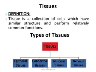 Tissues
Types of Tissues
PES Modern College of Pharmacy, (for
ladies) Moshi-412105
3
 