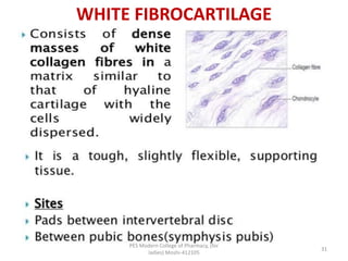 WHITE FIBROCARTILAGE
PES Modern College of Pharmacy, (for
ladies) Moshi-412105
31
 