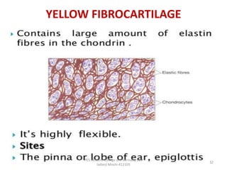 YELLOW FIBROCARTILAGE
PES Modern College of Pharmacy, (for
ladies) Moshi-412105
32
 