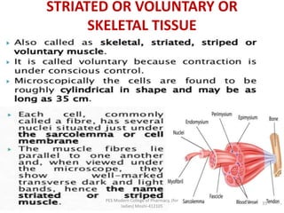 STRIATED OR VOLUNTARY OR
SKELETAL TISSUE
PES Modern College of Pharmacy, (for
ladies) Moshi-412105
35
 