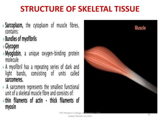 STRUCTURE OF SKELETAL TISSUE
PES Modern College of Pharmacy, (for
ladies) Moshi-412105
36
 