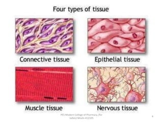 PES Modern College of Pharmacy, (for
ladies) Moshi-412105
4
 