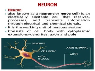 NEURON
PES Modern College of Pharmacy, (for
ladies) Moshi-412105
41
 