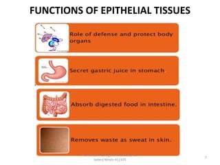 FUNCTIONS OF EPITHELIAL TISSUES
PES Modern College of Pharmacy, (for
ladies) Moshi-412105
7
 