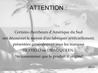 ATTENTION :  Certains chercheurs d’Amérique du Sud  ont découvert le moyen d’en fabriquer artificiellement,  présentées généralement sous les marques  TRAVELO ou DRAG QUEEN.  Ne consommer que le produit d’origine! 