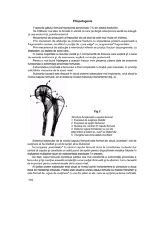 Etîopatogenie
Fracturile gâtului femural reprezintă aproximativ 7% din totalul fracturilor.
Se întâlnesc mai ales, la femeile în vârstă, la care pe lângă osteoporoza senilă se adaugă
şi cea endocrină, posidimacterică.
Mecanismul de producere al fracturilor de col este de cele mai rnuite ori indirect,
Prin mecanism de abducţie se produce fractura cu impactarea postero-superioară a
fragmentelor osoase, rezultând o poziţie de „coxa valga" cu „angrenarea" fragmentelor.
Prin mecanismul de adducţie a membrului inferior se produc fracturi dezangrenate, cu
deplasare, cu aspect de coxa vara.
în marea majoritate a cazurilor există şi o componentă de torsiune care explică şt o serie
de variante anatomice şi, de asemenea, explică cominuţia posterioară.
Pentru o rnai bună înţelegere a acestor fracturi vom prezenta câteva date de anatomie
funcţională a extremităţii proximale femurale.
Extremitatea proximală a femurului a fost comparată cu braţul unei macarale, în privinţa
solicitărilor mecanice de Ia acest nivel.
Substanţa osoasă este dispusă în două sisteme trabeculare mai importante, unul situat la
niveiul capului femural, iar al doilea la nivelul masivului trohanterian ţfig. 2).
Fig.2
Structura funcţionată a capului femural
1. Evantaiul de susţinere Deib&t
2. Evantaiul de sprijin Duhamel
3. Nucleu} dur, central, 01 capului femural
4. Sistemul ogival trohaterian cu cei doi
pilieri intern şi extern şi „ cuiul" iui Oeibet (&)
5. Triunghiul sau zona slabă a tui Ward
Sistemul trabecular de la nivelul capului femural este format din două „evantaie"; cel de
susţinere al Sui Delbet şi cel de sprijin al lui Duhamel
încrucişarea „evantaielor" tn centrul capului femura! duce la constituirea nucleului dur
central al capului şi constituie un solid punct de sprijin pentru dispozitivele metalice folosite în
realizarea multiplelor tipuri de osteosinteză practicate Tn prezent.
De fapt, capul femural constituie partea cea mai rezistentă a extremităţii proximale a
femurului şi îşi menţine această rezistenţă numai parţial diminuată şi la vârstnici, lucru deosebit
de important pentru osteosintezele de la acest nivel.
Al doilea sistem trabecular este situat la nivelul zonei îrohanteriene şi constituie a doua
zonă de rezistenţă crescută. Practic este situat la unirea colului femural cu marele frohanter şi
este format de „ogiva de susţinere" cu cei doi pilieri ai săi, care se sprijină pe lama corticală
110
 