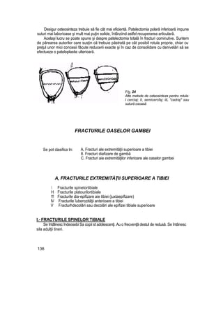 Desigur osteosinteza trebuie să fie cât mai eficientă. Patelectomia polară inferioară impune
suturi mai laborioase şi mult mai puţin solide, întârziind astfel recuperarea articulară.
Acelaşi lucru se poate spune şi despre patelectomia totală în fracturi cominutive. Suntem
de părearea autorilor care susţin că trebuie păstrată pe cât posibil rotula proprie, chiar cu
preţul unor mici concesii făcute reducerii exacte şi în caz de consolidare cu denivelări să se
efectueze o pateloplastie ulterioară.
F/g, 24
Atte metode de osteosinteza pentru rotula:
l cerclaj; II, semicercfaj; itL "cadraj" sau
sutură osoasă
FRACTURILE OASELOR GAMBEI
Se pot clasifica tn: A, Fracturi ale extremităţii superioare a tibiei
8. Fracturi diafizare de gambă
C. Fracturi aie extremităţilor inferioare ale oaselor gambei
A, FRACTURILE EXTREMITĂŢII SUPERIOARE A TIBIEI
 Fracturile spinetortibiale
H Fracturile platourilortibiale
!!! Fracturile dia-epifizare aie tibiei (juxtaepifizare)
IV Fracturile îuberozităţii anterioare a tibiei
V Fracturhdecolări sau decolări ale epifizei tibiale superioare
I.- FRACTURILE SPINELOR TiBIALE
Se întâlnesc îndeosebi Sa copii st adolescenţi. Au o frecvenţă destul de redusă. Se întânesc
sila adulţii tineri.
136
 