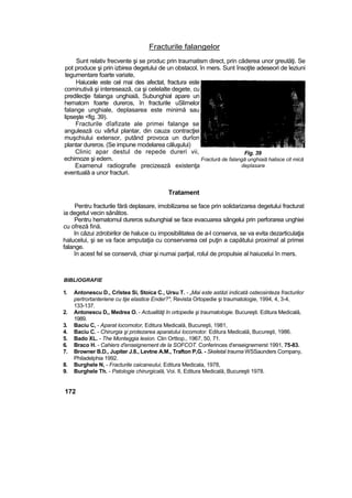 Fracturile falangelor
Sunt relativ frecvente şi se produc prin traumatism direct, prin căderea unor greutăţi. Se
pot produce şi prin izbirea degetului de un obstacol, în mers. Sunt însoţite adeseori de leziuni
tegumentare foarte variate,
Haiucele este cel mai des afectat, fractura este
cominutivă şi interesează, ca şi celelalte degete, cu
predilecţie falanga unghiaiă, Subunghial apare un
hematom foarte dureros, în fracturile uSlirnelor
falange unghiale, deplasarea este minimă sau
lipseşte <fig. 39).
Fracturile dîafizate ale primei falange se
angulează cu vârful plantar, din cauza contracţiei
muşchiului extensor, putând provoca un durîon
plantar dureros. (Se impune modelarea căluşului)
Clinic apar destul de repede dureri vii,
echimoze şi edem.
Examenul radiografie precizează existenţa
eventuală a unor fracturi.
Tratament
Pentru fracturile fără deplasare, imobilizarea se face prin solidarizarea degetului fracturat
ia degetul vecin sănătos.
Pentru hematomul dureros subunghial se face evacuarea sângelui prin perforarea unghiei
cu ofreză fină.
In căzui zdrobirilor de haluce cu imposibilitatea de a-l conserva, se va evita dezarticulaţia
halucelui, şi se va face amputaţia cu conservarea cel puţin a capătului proxima! al primei
falange.
în acest fel se conservă, chiar şi numai parţial, rolul de propulsie al haiucelui în mers.
BIBLIOGRAFIE
1. Antonescu D., Crîstea Si, Stoica C., Ursu T. - „Mai este astăzi indicată osteosinteza fracturilor
pertrortanteriene cu tije elastice Ender?", Revista Ortopedie şi traumatologie, 1994, 4, 3-4,
133-137.
2. Antonescu D,, Medrea O. - Actualităţi în ortopedie şi traumatologie. Bucureşti. Editura Medicală,
1989.
3. Baciu C, - Aparat locomotor, Editura Medicală, Bucureşti, 1981,
4. Baciu C. - Chirurgia şi protezarea aparatului locomotor. Editura Medicală, Bucureşti, 1986.
5. Bado XL. - The Monteggia lesion. Clin Orttiop., 1967, 50, 71.
6. Braco H. - Cahiers d'enseignement de la SOFCOT. Conferinces d'enseignemerst 1991, 75-83.
7. Browner B.D., Jupiter J.8., Levtne A.M., Trafton P,G. - Skeletal trauma WSSaunders Company,
Philadelphia 1992.
8. Burghele N, - Fracturile caicaneului, Editura Medicala, 1978,
9. Burghele Th. - Patologie chirurgicală, Voi. II, Editura Medicală, Bucureşti 1978.
172
Fig. 39
Fractură de falangă unghiaiă halisce cit mică
deplasare
 