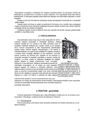 Distrugerea completă a cartilajului de creştere (posttraumatică, de exemplu) înainte de
ostficarea lui va determina o scurtare a osului respectiv, mai importantă dacă este distrus
cartiiajul fertil. O distrugere parţiala poate determina apariţia unei diformităţi unghiulare a osului
• respectiv.
Oasele scurte sunt formate din substanţa osoasa spongioasă înconjurată de o compactă
relativ subţire.
Oasele plate sunt largi şi subţiri şi participă la formarea unor cavităţi care protejează
organe importante (cutia craniană) realizează suporturi stabile (coxaiu!) sau oferă muşchilor
suprafeţe întinse de inserţie (omoplatul).
Creşterea oaselor scurte şi plate se face prin apoziţîa de lamele osoase subperiostale
paralele cu suprafaţa osului.
2. VASCULARIZAŢIA
Vascularizaţia osului lung (fig.2) este asigurată de artera
nutritivă, reţeaua periostală si arteriolele epifizare. Artera
nutritivă însoţită de 1-2 venule si de filete nervoase intră în
cavitatea medulară diafearâ prin canalul nutritiv şi se împarte
într-o ramură ascendentă şi alta descendentă, Ramificaţiile
acestei artere nutritive asigură vascularizaţîa a 2/3 interne a
corticaîei diafizare. La copil, la care cartilajul de creştere constituie
o barieră între circulaţia diafîzară şi cea epifizară, ramurile
arterei nutritive se termină prin capilare ce se continuă cu
sinusoide venoase în imediata vecinătate a acestui cartilaj de
creştere. La adult, odată cu osificarea cartilajului de creştere
bariera dispare şi există anastomoze între circulaţia
diafîzară si cea epifizară. Reţeaua periostală provenită din
arteriolele musculaturii ce se insera pe osul respectiv,
asigură irigarea 1/3 externe a corticaîei dîafizare. între
reţeaua arterei nutritive şi cea periostală există anastomoze
ceea ce permite compensarea irigării unei zone cortîcale
dacă una din reţelele ei vasculare este distrusă (de exemplu
irigarea şi a celor 2/3 interne a corticaîei de către reţeaua
periostată, dacă artera
3, FRACTURI - generalităţi
Fractura reprezintă o întrerupere sau o discontinuitate ia nivelul unui os, ca urmare a unui
traumatism. Etimologic, cuvântul provine din latinescul "fractura".
3.1, Etiopatogente
Pentru producerea unei fracturi este necesară existenţa unor factori extrinseci şi a unor
factori intrinseci.
21
Fig.2
Vasculărizaţia osului (după
Anatomia Funcţională - C. Baciu)
1, periost; 2. reţea vasculară circttm-
ferenţiată; 3. famate osoase drcum-
torenţiale; 4. sistem haversian; 5.
reţea vasculară haversîană; 6. os
compact (cortical); 7, reţea vascu-
lară medulară; 8. lamele osoase
circumferenţiate interne
nutritivă este lezată în cursul traumatismului sau prin
utilizarea unui mijloc de osteosinteză centromedular). Distrugerea ambelor surse vasculare
(nutritivă şi periostalâ) devascularizeazâ zona corticală respectivă.
 