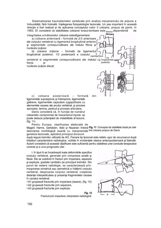 Sistematizarea traumatismelor vertebrale prin analiza mecanismului de acţiune a
îmbunătăţit, fără îndoială, înţelegerea fiziopatologîei lezionale. Un pas important în această
direcţie a fost realizat şi de aplicarea conceptului celor 3 coloane, propus de panis, în
1983, El consideră că stabilitatea coloanei toraco-lombare este dependentă de
integritatea următoarelor coloane osteolîgamentare:
a) coloana anterioară - formată de 2/3 anterioare
ale corpului vertebral cu ligamentul longitudinal anterior
şi segmentele corespunzătoare ale inelului fibros şi
nucleului pulpos;
bţ coloana mijlocie - formată de ligamentul
longitudinal posterior, 1/3 posterioară a corpului
vertebral si segmentele corespunzătoare ale inelului
fioros şi
nucleului pulpos discal;
c) coloana posterioară - formată din
ligamentele supraspinos şi înterspinos, ligamentele
galbene, ligamentele capsulare zygapofizare cu
elementele osoase ale arcului vertebral, şi procese
spinoase, lamine, pedicul şi procese articulare,
Danis consideră că, în funcţie de numărul
coloanelor compromise de mecanismul injuriei, se
poate deduce potenţialul de instabilitate al leziunii,
(fig. 11)
Pentru Europa, clasificarea elaborată de
Magerl, Harms, Gertzbein, Aebi şi Nazarian îmbină
descrierea morfologică exactă cu mecanismele
genetice lezionale, aplicând principiul diviziunii
după reguia treimilor utilizată de AO. Fiecare tip lezional este relativ uşor de recunoscut după
trăsături caracteristice radiologîce, vizibile în incidenţele clasice anteroposterioară şt laterală.
Autorii consideră că această clasificare este suficientă pentru stabilirea unei conduite terapeutice
corecte şi a unui prognostic clar.
l. în tipul A se încadrează toate deformările specifice
corpului vertebral, generate prin compresia axială şi
ftexie. Ele se subdivid în fracturi prin impactare, separare
şi explozie, gradate cantitativ pe principiul treimilor. Din
punct de vedere radiologie, se caracterizează prin:
micşorarea simetrică sau asimetrică a înălţimii corpului
vertebrat, despicarea corpului vertebral, creşterea
distanţei interpediculare şi prezenţa fragmentelor osoase
în canalul vertebral.
• A1 grupează fracturile prin impactare (tasare). {fig. 12)
• A2 grupează fracturile prin separare,
• A3 grupează fracturile prin explozie.
Fig. 12
Fractură prin impactare; interpretare radiotogică
192
Anulus
supraspmous
Llg. longitudinale
posteritis
Fig, 11 Conceptul de stabilitate bazat pe cele
trei coloane propus de Danis
 