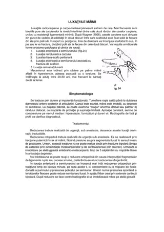 LUXAŢ1ILE MÂINII
Luxaţiile radiocarpiene şi carpo-mefeearp/enesunt extrem de rare. Mai frecvente suni
luxatiile pure ale carpienelor la nivelul interliniei dintre cele două rânduri ale oaselor carpiene,
un loc cu rezistenţă ligamentară minimă. După Wagner (1956), oasele carpiene sunt divizate
din punct de vedere al solidităţii în două blocuri între care scafoidul este fixat solid la fiecare
din ele prin polii săi. în raport cu poziţia Iui, linia de dislocare va înconjura scafoidul în sus, în
jos sau le va fractura, divizând polii săi la flecare din cele două blocuri. Vor rezulta următoarele
forme anatomo-patologice şi clinice de iuxaţii:
1. Luxaţia anterioară a semiîunarului (fîg.24)
2. Luxaţia reirolunară a corpului
3. Luxaîsa trans-scafo perilunară
4. Luxaţia anîerioară a semiîunarului asociată cu
fractura de scafoid.
5. Luxaţia retroscafplunară.
Mecanismul este indirect prin cădere pe palma mâinii
aflată în hiperxtensîe, adesea asociată cu o torsiune. Se
întâlneşte la adulţi între 20-50 ani, mai frecvent la bărbaţi
decât la femei.
F
ig, 24
Simptomatologie
Se traduce prin durere şi impotenţă funcţională. Tumefiere roşie caldă până la dublarea
diametrului antero-posterior al articulaţiei. Carpul este scurtat, mâna este imobilă, cu degetele
în semifiexie. La palpare blândă, se poate examina "pragul" anormal dorsal sau palmar 3)
rânduiui dislocat, cu mişcările de pronaţie şi supinaţie limitată. Aproape constant, semne de
compresiune pe nervul median: hipoestezie, furnicături şi dureri vii. Radiografia de faiă şi
profil va clarifica diagnosticul,
Tratamentul
Reducerea trebuie realizată de urgenţă, sub anestezie, deoarece aceste Iuxaţii devin
rapid ireductibile.
Reducerea ortopedică trebuie realizată de urgenţă sub anestezie. Ea se realizează prin
tracţiune puternică în ax al mâinii, făcând presiune asupra segmentului luxat în sensul invers
de producere. Uneori, această tracţiune nu se poate realiza decât prin tracţiune bipolară {broşa
de extenzie prin extremităţile metacarpienelor şi de contraextensie prin olecran). Urmează o
imobilizare pe atelă gipsată antebrahio-metacarpiană, timp de 5 săptămâni cu mişcările libere
în articulaţia degetelor,
Nu întotdeauna se poate reuşi o reducere ortopedică-din cauza interpoziţiei fragmentelor
de ligamente rupte sau osoase smulse, preferându-se atunci reducerea sângerândă;
în luxaţia anterioară a semiiunarului se încearcă mai întâi reducerea ortopedică prin
tracţiune timp de câteva minute, pe raza axelor l, iii, concomitent cu o mişcare de flexie
dorsală a pumnului şi presiunea policelui pe semiiunar. Uneori numai presiunea spontană a
tendoanelor flexoare poate reduse semilunarul luxat, în spaţiul Nber creai prin extensie continuă
bipolară. După reducere se face control radiografie si se imobilizează mâna pe atelă gipsaîă
 