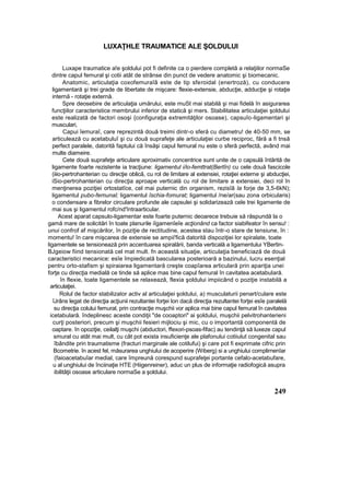 LUXAŢHLE TRAUMATICE ALE ŞOLDULUI
Luxape traumatice a!e şoldului pot fi definite ca o pierdere completă a relaţiilor normaSe
dintre capul femural şi cotii atât de strânse din punct de vedere anatomic şi biomecanic.
Anatomic, articulaţia coxofemuraîâ este de tip sferoidal (enertroză), cu conducere
ligamentară şi trei grade de libertate de mişcare: flexie-extensie, abducţie, adducţie şi rotaţie
internă - rotaţie externă.
Spre deosebire de articulaţia umărului, este muSt mai stabilă şi mai fidelă în asigurarea
funcţiilor caracteristice membrului inferior de statică şi mers. Stabilitatea articulaţiei şoldului
este realizată de factori osoşi {configuraţia extremităţilor osoase), capsuîo-ligamentari şi
musculari,
Capui îemuraî, care reprezintă două treimi dintr-o sferă cu diametru! de 40-50 mm, se
articulează cu acetabuluî şi cu două suprafeţe ale articulaţiei curbe reciproc, fără a fi tnsă
perfect paralele, datorită faptului că însăşi capul femural nu este o sferă perfectă, având mai
multe diameire.
Cete două suprafeţe articulare aproximativ concentrice sunt unite de o capsulă întărită de
ligamente foarte rezistente ia tracţiune: ligamentul i/io-femttrat(Bertîn) cu cele două fascicole
(iiio-pertrohanterian cu direcţie oblică, cu rol de limitare al extensiei, rotaţiei externe şi abducţiei,
iSio-pertrohanterian cu direcţia aproape verticală cu rol de limitare a extensiei, deci rol în
menţinerea poziţiei ortostatîce, cel mai puternic din organism, rezisîâ la forje de 3,5-6kN);
ligamentul pubo-femunal; ligamentul îschia-fomurat; ligamentul /ne/ar(sau zona orbicularis)
o condensare a fibrelor circulare profunde ale capsulei şi solidarizează cele trei ligamente de
mai sus şi ligamentul rofc/nd'întraarticular.
Acest aparat capsulo-ligamentar este foarte puternic deoarece trebuie să răspundă la o
gamă mare de solicitări în toate planurile iîgamenîeîe acţionând ca factor siabifeator în sensu! :
unui confrof af mişcărilor, în poziţie de rectitudine, acestea stau într-o stare de tensiune, în :
momentu! în care mişcarea de extensie se ampii'fică datorită dispoziţiei lor spiralate, toate
ligamentele se tensionează prin accentuarea spiralării, banda verticală a ligamentului YBertin-
BJgeiow fiind tensionată cel mat mult. fn această situaţie, articulaţia beneficiază de două
caracteristici mecanice: esîe împiedicată bascularea posterioară a bazinului, lucru esenţial
pentru orto-stafism şi spiraiarea ligamentară creşte coapîarea articulară prin apariţia unei
forţe cu direcţia medială ce tinde să aplice mas bine capul femural în cavitatea acetabulară.
în flexie, toate ligamentele se relaxează, flexia şoldului impiicând o poziţie instabilă a
articulaţiei.
Rolul de factor stabilizator activ al articulaţiei şoldului, a) musculaturii penart/culare este
îJrâns legat de direcţia acţiunii rezultantei forţei Ion dacă direcţia rezultantei forţei esîe paralelă
su direcţia colului femural, prin contracţie muşchii vor aplica mai bine capul femural în cavitatea
icetabulară. îndeplinesc aceste condiţii "de cooaptori" ai şoldului, muşchii pelvitrohanterieni
curţi posteriori, precum şi muşchii fesieri mijlociu şi mic, cu o importantă componentă de
oaptare. în opoziţie, ceilalţi muşchi (abductori, ffexori-psoas-fifac) au tendinţă să luxeze capul
smural cu atât mai mult, cu cât pot exista insuficienţe ale plafonului cotiiulut congenital sau
îbândite prin traumatisme (fracturi marginale ale cotilufui) şi care pot fi exprimate cifric prin
Bcometrie. în acest fel, măsurarea unghiului de acoperire (Wiberg) si a unghiului complirnenîar
(faioacetabuîar medial, care împreună corespund suprafeţei portante cefalo-acetabufare,
u al unghiului de înciinaţie HTE (Hiigenreiner), aduc un plus de informaţie radiofogică asupra
ibilitâţii osoase articulare normaSe a şoldului.
249
 