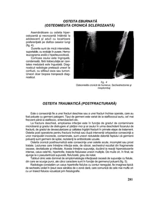 OSTEITA EBURNATĂ
(OSTEOMIEUTA CRONICĂ SCLEROZANTĂ)
Asemănătoare cu osîeita hiper-
ostozantă şi necrozantă întâlnită !a
adolescent şî aduîî cu locaHzare
preferenţială pe diafiza oaseior lungi
(fig. 4).
Durerile sunt de mică intensitate,
suportabile, cu evoluţie în pusee. Herno-
ieucograma araîă o hiperleucocitoză.
Corîicaia osului este îngroşată,
condensată, fără trabecuîaţie.iar cavi-
tatea medulară esîe îngustată. Diag-
nosticul radiologie pretează uneori la
confuzii, cu sifilisul osos sau tumori.
Uneori doar biopsia tranşează diag-
nosticul.
fig, 4
Osteomielita cronică de humerus. Sechestrectomie şi
mioptombaj
OSTEITA TRAUMATICĂ (POSTFRACTURARĂ)
Este o consecinţă fie a unei fracturi deschise sau a unei fracturi închise operate, care au
fost poluate cu germeni patogeni. Tipui de germeni este variat de ia stafiîococul auriu, ce! mai
frecvent până ia stafilococ, enterobacîerii etc.
La fractura deschisă, amploarea infecţiei este în funcţie de gradu! de contaminare
microbiană şi gradui de distrugere a! părţiior moi şi ai osului în urma deschiderii focarului de
fractură, de gradul de devascularizare şi calitatea îngrijirii fracturii în primele etape de tratament.
Osteita post operatorie pentru fractura închisă sau după intervenţii ortopedice consecinţă a
unor manipulări incorecte, contaminate, sunt uneori redutabile datorită faptului că germenii
poluanţi sunt germeni de spitai, rezistenţi Ia antibioticele uzuale.
Osteiîa cronică postîraumaîicâ este consecinţa unei osteite acute, incomplet sau prost
tratate. Leziunea care întreţine infecţia este, de obicei, sechestrul rezultat din fragmenete
osoase, devitalizate şi infectate. Acesta întreţine supuratja, ducând ia reacţii hiperostozanîe
intense, caius oste'rtic, hipertrofie, traiecte fistuioase uneori multiple. De muiîe ori, în final, se
ajunge la o pseudartroză supurată, ftsîu!izată, greu de iratat.
Tabloul ciinic este dominat de simptomatologia infecţioasă osoasă de supuraţie cu fistule,
din care se scurge puroi, ale cărui caractere sunt în funcţie de germenul poluant (fig. 5).
Radiologie constatăm un caius hipertrofie fisîuîos cu contur neregulat, fie imaginea tipică
de sechestru izolat în {esut osos sănătos de o zonă clară, care comunică de ceîe mai mufte ori
cu un traiect fistuios vizualizat prin fistulografie.
281
 