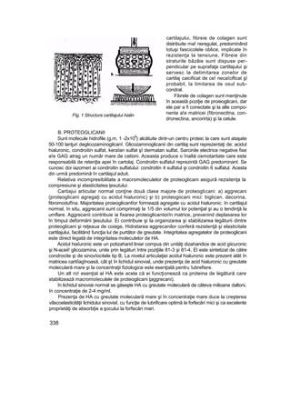 Fîg. 1 Structura cartilajului hialin
cartilajului, fibreie de colagen sunt
distribuite maî neregulat, predominând
totuşi fascicolele oblice, implicate în
rezistenţa la tensiune, Fibreie din
straturile bâzâie sunt dispuse per-
pendicular pe suprafaţa cartilajului şi
servesc la delimitarea zonelor de
cartilaj caicificat de ce! necaîciftcat şî
probabil, la limitarea de osul sub-
condral.
Fibrele de colagen sunt menţinute
în această poziţie de proieoglicani, dar
ele par a fi conectate şi la alte compo-
nente a!e matricei (fibronecttna, con-
dronectina, ancorirta) şi la celule.
B. PROTEOGLICANII
Sunt mofecule hidrofile (g.m. 1 -2x10
6
} alcătuite dintr-un centru proteic la care sunt ataşate
50-100 lanţuri deglicozaminoglicanî. Glicozaminoglicanii din cartilaj sunt reprezentaţi de: acidul
hialuronic, condroitin sulfat, keraîan sulfat şî dermatan sulfat. Sarcinile electrice negative fixe
a!e GAG atrag un număr mare de cationi. Aceasta produce o înaltă osmotaritate care este
responsabilă de retenţta apei în cartolaj. Condroitin sulfatul reprezintă GAG predominant. Se
cunosc doi iazomeri ai condroitin sulfatului: condroitin 4 sulfatul şi condroitin 6 sulfatul. Acesta
din urmă predomină în cartilajul aduit.
Relativa incompresibilitate a macromoleculelor de proteoglicani asigură rezistenţa la
compresiune şi elasticitatea ţesutului.
Cartiajui articular normal conţine două clase majore de proteogticani: a) aggrecani
{proteoglicani agregaţi cu acidul hialuronic) şi b) proteogiicani mici: biglican. decorina,
fibromodufîna. Majoritatea proieoglicantîor formează agregate cu acidul hialuronic. In cartilajul
normal, în situ, aggrecanii sunt comprimaţi la 1/5 din volumul lor potenţial şi au o tendinţă la
umflare. Aggrecanii contribuie ia fixarea proteoglicaniiorîn matrice, prevenind deplasarea lor
în timpul deformării ţesutului. Ei contribuie şi la organizarea şi stabilizarea legăturii dintre
proteoglicani şi reţeaua de coiage, Hidratarea aggrecanilor conferă rezistenţă şi elasticitate
cartilajului, facilitând funcţia lui de purtător de greutate. Integritatea agregatelor de proteoglicani
este direct legată de integritatea moleculelor de HA.
Acidul hiaîuronic este un potizaharid liniar compus din unităţi dizaharidice de acid giicuronic
şi N-aceii! glicozamina, unite prin legături între poziţiile 81-3 şi 81-4, El este sintetizat de către
condrocite şi de sinovîocitele tip B, La nivelul articulaţiei acidul hialuronic este prezent atât în
matricea cartiîagînoasă, cât şt în lichidul sinovial, unde prezenţa de acid hialuronic cu greutate
moleculară mare şi la concentraţii fiziologice este esenţială pentru îubrefiere.
Un alt ro! esenţial al HA este acela că ei funcţionează ca proteina de legătură care
stabilizează macromoîeculele de proteoglicani ţaggrecani).
în lichidul sinoviai normal se găseşte HA cu greutate moleculară de câteva milioane daltoni,
în concentraţie de 2-4 mg/ml.
Prezenţa de HA cu greutate moleculară mare şi în concentraţie mare duce la creşterea
vâscoelasticităţii lichidului sinoviaî, cu funcţie de lubrificare optimă la forfecări mici şi ca excelente
proprietăţi de absorbţie a şocului la forfecări mari.
338
 